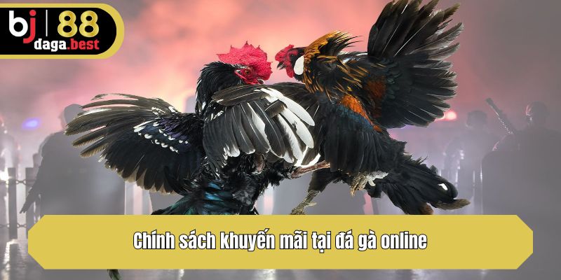 Chính sách khuyến mãi tại đá gà online