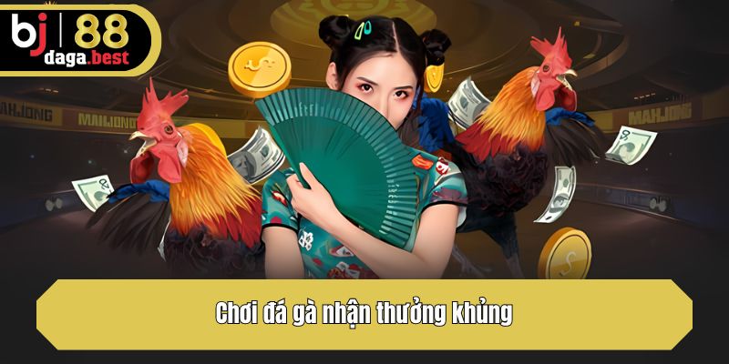 Chơi đá gà nhận thưởng khủng