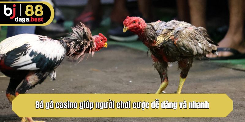 Đá gà casino giúp người chơi cược dễ dàng và nhanh