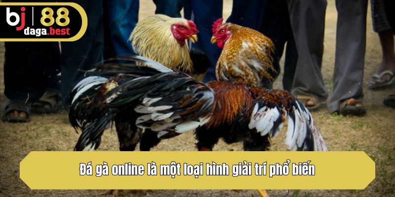 Đá gà online là một loại hình giải trí phổ biến