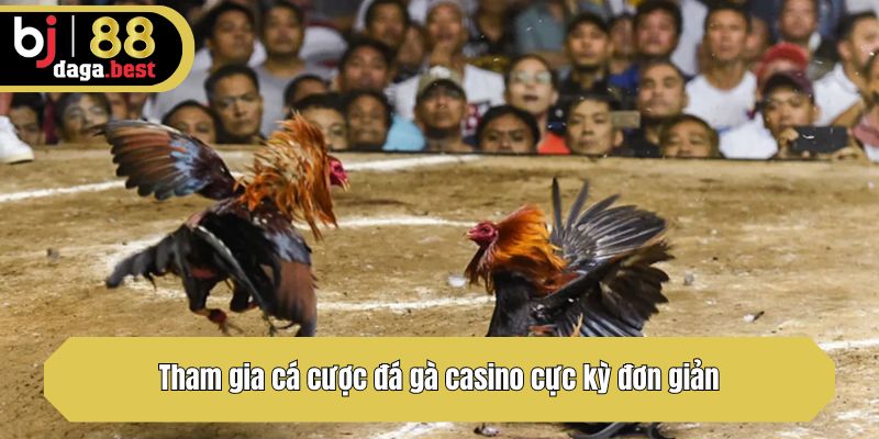 Tham gia cá cược đá gà casino cực kỳ đơn giản
